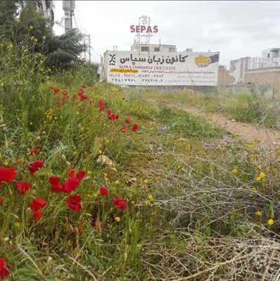 شهر-صدرا-کانون-زبان-سپاس-429880