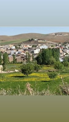 بهار-روستای-همه-کسی-429941