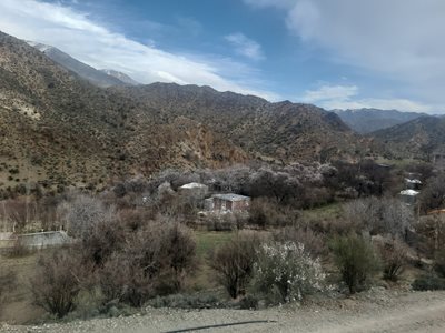 جیرفت-روستای-پیدنگوئیه-431962