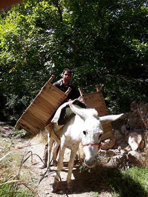 کمیجان-روستای-سیجان-432462