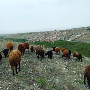 تبریز-روستای-اسنجان-433066