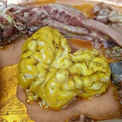 طباخی ماهان