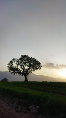 خرم-آباد-روستای-گرمورت-رمضان-آباد-434800