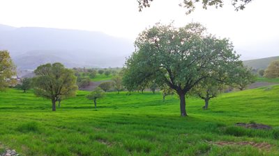 خرم-آباد-روستای-گرمورت-رمضان-آباد-434803