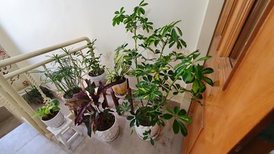 اصفهان-آموزشگاه-موسیقی-چنگ-434813