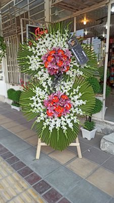 گل فروشی بلوط