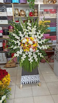 برازجان-گل-فروشی-بلوط-434852
