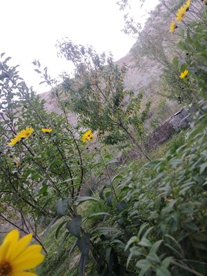 مشهد-روستای-خور-سفلی-436185