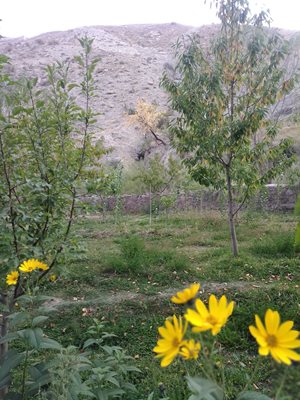 مشهد-روستای-خور-سفلی-436186