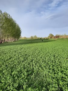 اردبیل-روستای-شمس-آباد-437456