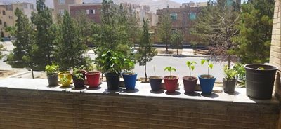 فولاد-شهر-آموزشگاه-هنرهای-تجسمی-شمس-العماره-فولادشهر-438321