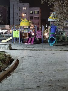 تهران-بوستان-اعتماد-438796