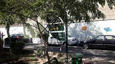 تهران-بوستان-ذبیحی-438863