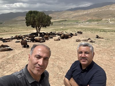 آبسرد-روستای-آرو-439105