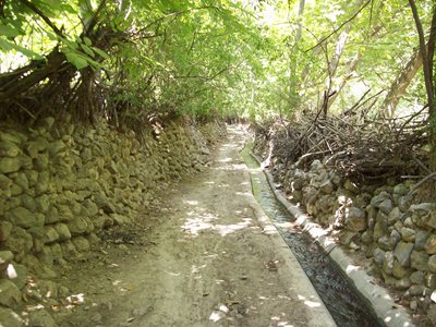 شیراز-روستای-دشتک-440683