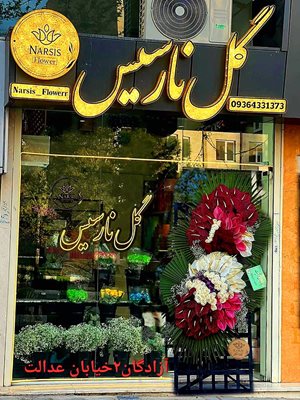 ارومیه-گلفروشی-نارسیس-ارومیه-440842