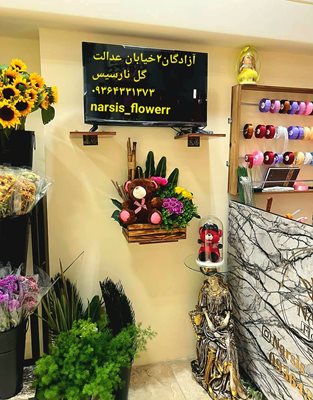 ارومیه-گلفروشی-نارسیس-ارومیه-440844