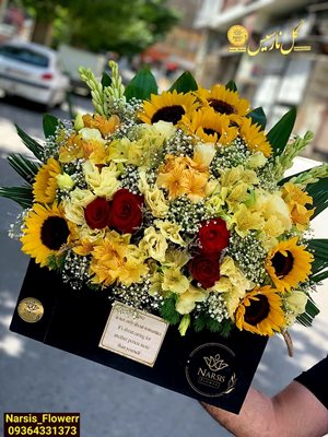 ارومیه-گلفروشی-نارسیس-ارومیه-440827