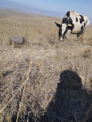 ورزقان-روستای-حماملو-440974