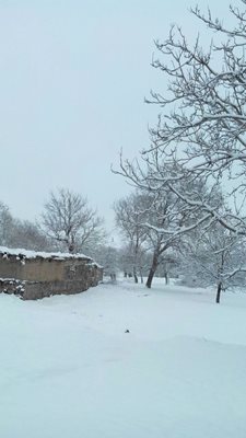 میانه-روستای-اشنار-442216