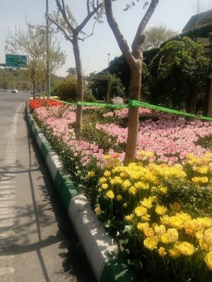 تهران-بوستان-بهشت-مادران-تهران-443983