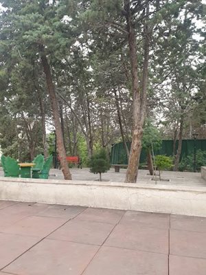 تهران-بوستان-بهشت-مادران-تهران-443988