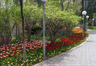 تهران-بوستان-بهشت-مادران-تهران-443989