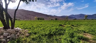 خوی-روستای-پیرکندی-444689