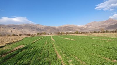 خوی-روستای-پیرکندی-444687