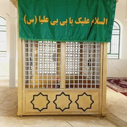 امامزاده بی بی علیا (س)