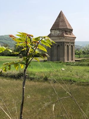 ساری-شاطر-گنبد-ساری-445475