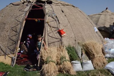 هیر-روستای-دلیلو-445541