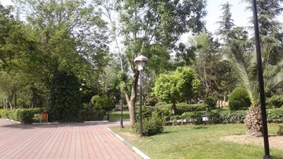 رشت-بوستان-کشاورز-رشت-445942