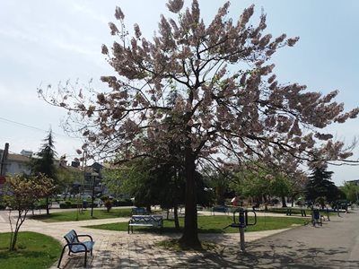 رشت-پارک-دانشجو-رشت-445932