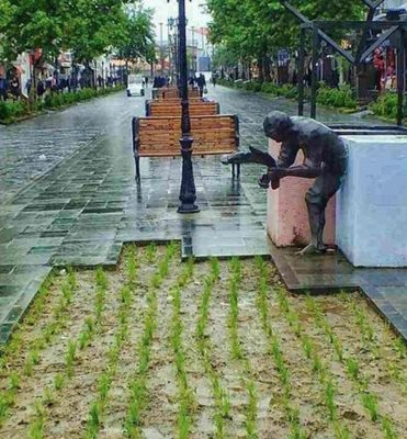 رشت-خیابان-علم-الهدی-رشت-446064