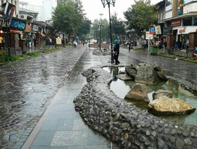 رشت-خیابان-علم-الهدی-رشت-446063