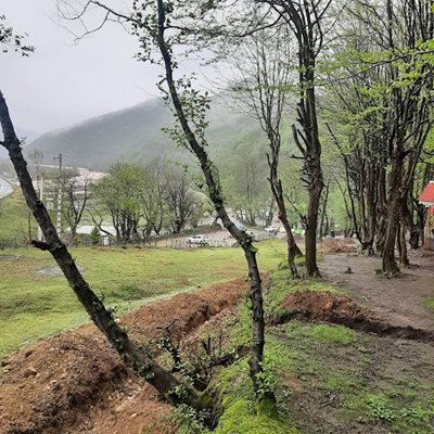 رشت-پارک-جنگلی-ساحلی-درنیکا-446137