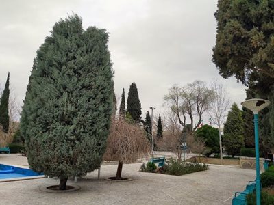 یزد-بوستان-ناجی-یزد-447841