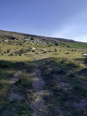 اردبیل-روستای-قزل-قیه-447891