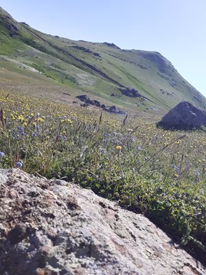 اردبیل-روستای-قزل-قیه-447893