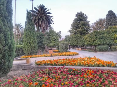 شیراز-باغ-دلگشا-448106