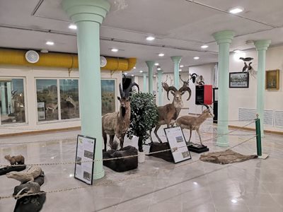 اردبیل-موزه-تاریخ-طبیعی-اردبیل-448792
