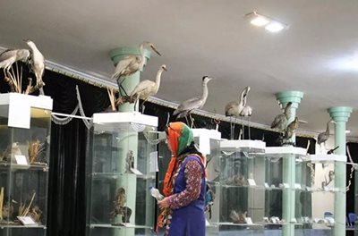 اردبیل-موزه-تاریخ-طبیعی-اردبیل-448796
