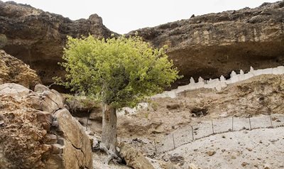 میرجاوه-قبرستان-هفتاد-ملا-449265