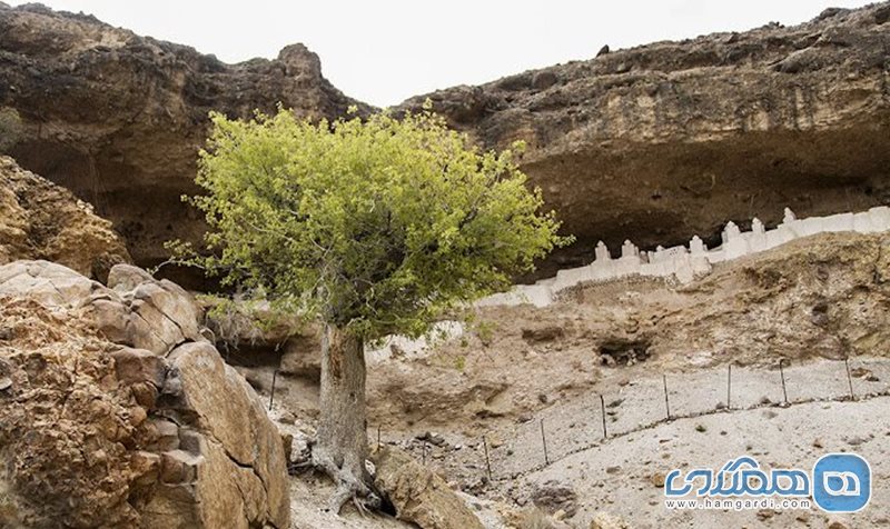 قبرستان هفتاد ملا