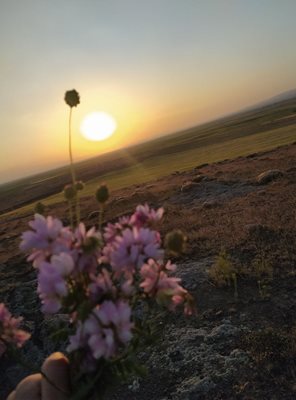 آبی-بیگلو-روستای-بریس-449294