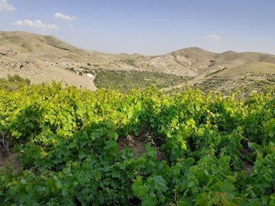 روستای ورس