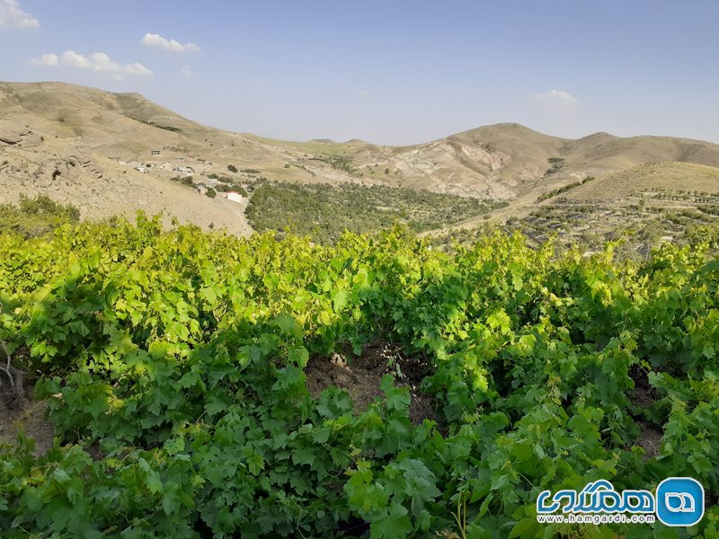 روستای ورس