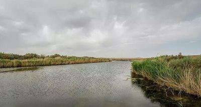 ورزنه-تالاب-گاوخونی-461514