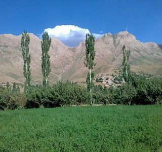 سروآباد-روستای-درکی-461534